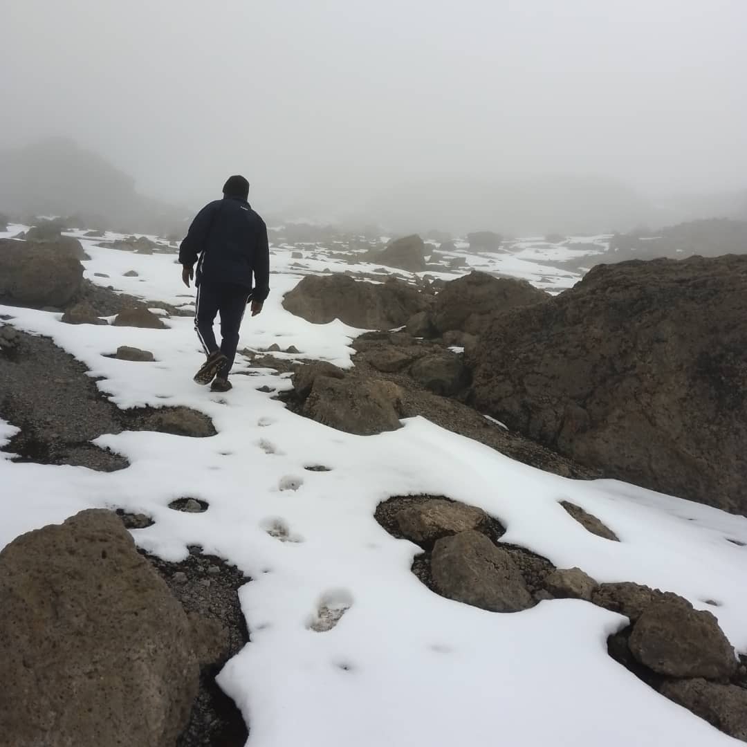 Is the Rongai Route Better Than the Lemosho Route? A Detailed Comparison for Kilimanjaro Climbers